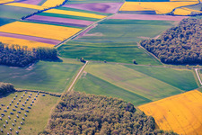 Im Rückbau befindlicher Solarpark Gut Erlasee mit dem Sonnenstand nachgeführten Paneelen im Ortsteil Büchold in Arnstein im Bundesland Bayern, Deutschland