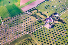 Im Rückbau befindlicher Solarpark Gut Erlasee mit dem Sonnenstand nachgeführten Paneelen im Ortsteil Büchold in Arnstein im Bundesland Bayern, Deutschland