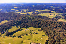 Mooswald von Norden im Ortsteil Diesenhof in Lauterbach im Bundesland Baden-Württemberg, Deutschland
