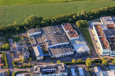 Rose Druck GmbH in Landau in der Pfalz im Bundesland Rheinland-Pfalz, Deutschland
