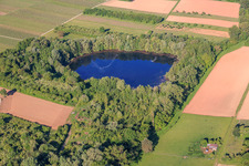 Biotopweiher alte Tongrube in Göcklingen im Bundesland Rheinland-Pfalz, Deutschland