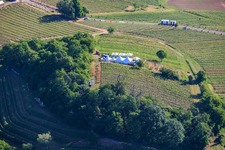 Weinfrühling Pfingsten im Weinberg. Große Weinpräsentation inmitten der Weinlage „Kastanienbusch“ (Schönstes Weinfest der Pfalz 2012) in Birkweiler im Bundesland Rheinland-Pfalz, Deutschland