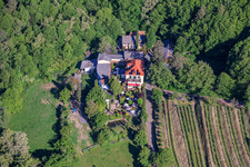Weingut Sankt Annaberg mit Garten am Waldrand in Burrweiler im Bundesland Rheinland-Pfalz, Deutschland