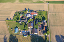 Jägerhof und Burgerhof in Neupotz im Bundesland Rheinland-Pfalz, Deutschland