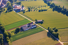 Kehler Hof im Ortsteil Ingenheim in Billigheim-Ingenheim im Bundesland Rheinland-Pfalz, Deutschland