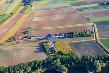 Jesterhof Landwirtschaft Obst und Gemüseanbau, Hofladen, Destillerie, Alte Ziegelei und Gewerbegebiet Rheinfeldstraße mit Celsa Messgeräte GmbH und Solisation GmbH im Ortsteil Mechtersheim in Römerberg im Bundesland Rheinland-Pfalz, Deutschland