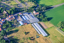 Pflanzenwelt Dienst - Gartencenter im Ortsteil Iggelheim in Böhl-Iggelheim im Bundesland Rheinland-Pfalz, Deutschland