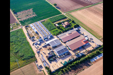 Hof, Wohncontainer und Hallen von Gemüseanbau - Dieter Stubenbordt in Zeiskam im Bundesland Rheinland-Pfalz, Deutschland