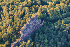 Kletterfels Asselstein in Annweiler am Trifels im Bundesland Rheinland-Pfalz, Deutschland