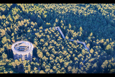 Baumwipfelpfad Elsass / Chemin des Cimes Alsace in Cleebourg im Bundesland Bas-Rhin, Frankreich