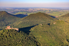 Drei Burgen: Trifels, Anebos, Jungturm Münz und renovierter Tumr Scharfenberg im Ortsteil Bindersbach in Annweiler am Trifels im Bundesland Rheinland-Pfalz, Deutschland