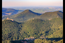 Drei Burgen aus Südwesten: Trifels, Anebos, Jungturm Münz und renovierter Tumr Scharfenberg im Ortsteil Bindersbach in Annweiler am Trifels im Bundesland Rheinland-Pfalz, Deutschland