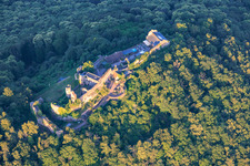 Burgruine Madenburg aus Westen in Eschbach im Bundesland Rheinland-Pfalz, Deutschland