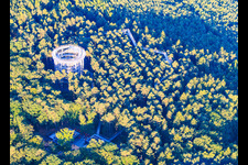 Baumwipfelpfad Elsass / Chemin des Cimes Alsace in Cleebourg im Bundesland Bas-Rhin, Frankreich