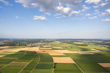 Im Tiefenthal in Billigheim-Ingenheim im Bundesland Rheinland-Pfalz, Deutschland