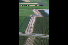 Erdarbeiten für Trasse zwischen erstem Bohrplatz auf dem Schleidberg zum zweiten Bohrplatz auf dem Trappelberg des Lionheart-Projekts der Vulcan Energy für die zukünftige klimaneutrale Wärmeversorgung der Stadt Landau sowie Lithiumextraktion und Stromproduktion durch ORC-Anlage in Insheim im Bundesland Rheinland-Pfalz, Deutschland