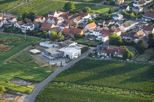 Vinothek Weingut Sauer in Nußdorf in Landau in der Pfalz im Bundesland Rheinland-Pfalz, Deutschland