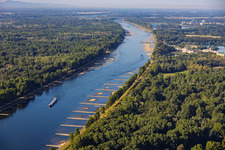 Rhein bei Niedrigwasser in Munchhausen im Bundesland Bas-Rhin, Frankreich