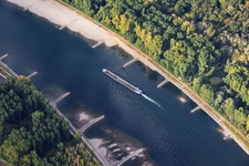 Leeres Frachtschiff bei Niedrigwasser am Rhein zwischen Hördter Rheinaue und Dettenheim im Bundesland Rheinland-Pfalz, Deutschland