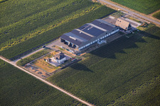 Weingut Ellermann-Spiegel in Kleinfischlingen im Bundesland Rheinland-Pfalz, Deutschland