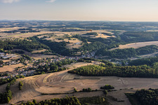 Waldhouse von Süden im Bundesland Moselle, Frankreich