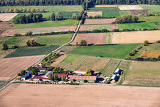 Pferdegestüt Römerhof im Ortsteil Richen in Groß-Umstadt im Bundesland Hessen, Deutschland