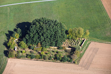 Jüdischer Friedhof Sickenhofen in Babenhausen im Bundesland Hessen, Deutschland