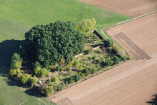 Jüdischer Friedhof Sickenhofen in Babenhausen im Bundesland Hessen, Deutschland