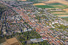 Stadtansicht aus Osten in Kandel im Bundesland Rheinland-Pfalz, Deutschland