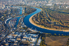 Niedrigwasser am Rhein um die Reißinsel gegenüber Kaiserwörthhafen im Ortsteil Niederfeld in Mannheim im Bundesland Baden-Württemberg, Deutschland