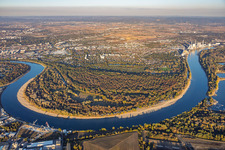 Niedrigwasser am Rhein um das Naturschutzgebiet Reißinsel / Kuckucksinsel im Ortsteil Niederfeld in Mannheim im Bundesland Baden-Württemberg, Deutschland