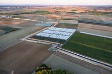 Tiefbauarbeiten für Trasse zwischen erstem Bohrplatz auf dem Schleidberg zum zweiten Bohrplatz auf dem Trappelberg des Lionheart-Projekts der Vulcan Energy für die zukünftige klimaneutrale Wärmeversorgung der Stadt Landau sowie Lithiumextraktion und Stromproduktion durch ORC-Anlage in Insheim im Bundesland Rheinland-Pfalz, Deutschland