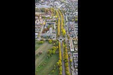 Herbstliche Allee der Karlsruher Straße in Ettlingen im Bundesland Baden-Württemberg, Deutschland