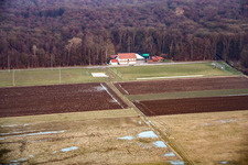 Sportplätze TSV 1908 Freckenfeld im Bundesland Rheinland-Pfalz, Deutschland