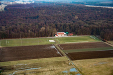 Luftbild von Sportplätze TSV 1908 Freckenfeld im Bundesland Rheinland-Pfalz, Deutschland