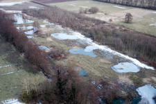 Luftbild von Winterlich schneebedeckte Tümpel und Morast- Wasseroberfläche in einer Teichlandschaft in Minfeld im Bundesland Rheinland-Pfalz, Deutschland