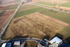 Luftbild von Nordring in Rülzheim im Bundesland Rheinland-Pfalz, Deutschland