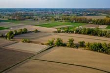 Ortsansicht von Süden in Leimersheim im Bundesland Rheinland-Pfalz, Deutschland