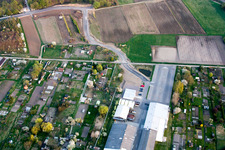 Krautgärten in Kandel im Bundesland Rheinland-Pfalz, Deutschland