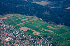 Schwanner Warte im Ortsteil Conweiler in Straubenhardt im Bundesland Baden-Württemberg, Deutschland