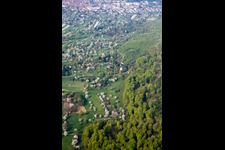 Blühende Kernobstanbau- Plantage im Ortsteil Oberweier in Ettlingen im Ortsteil Ettlingenweier im Bundesland Baden-Württemberg, Deutschland