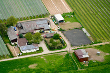 Lindenhof in Steinweiler im Bundesland Rheinland-Pfalz, Deutschland