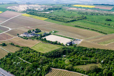 Weingut Haus Sonnenberg in Neuleiningen im Bundesland Rheinland-Pfalz, Deutschland