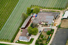 Lindenhof in Steinweiler im Bundesland Rheinland-Pfalz, Deutschland von oben