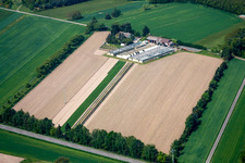 Bösherz Hof im Ortsteil Neulauterburg in Berg im Bundesland Rheinland-Pfalz, Deutschland
