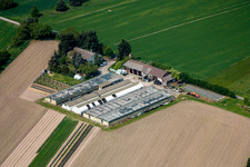 Luftaufnahme von Bösherz Hof im Ortsteil Neulauterburg in Berg im Bundesland Rheinland-Pfalz, Deutschland