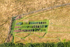 Gemüsezucht in Two Mile Oak in England im Ortsteil Two Mile Oak Cross in Newton Abbot, Vereinigtes Königreich