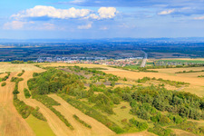Gemeindeberg Grünstadt Am Eichenwälchen im Ortsteil Sausenheim im Bundesland Rheinland-Pfalz, Deutschland