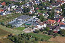 Glasdach- Flächen in den Gewächshausreihen zur Blumenzucht der 1A Gartet Hopp im Ortsteil Bodersweier in Kehl im Bundesland Baden-Württemberg, Deutschland