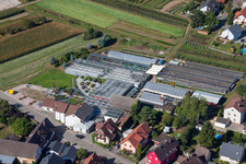 Luftbild von Glasdach- Flächen in den Gewächshausreihen zur Blumenzucht der 1A Gartet Hopp im Ortsteil Bodersweier in Kehl im Bundesland Baden-Württemberg, Deutschland